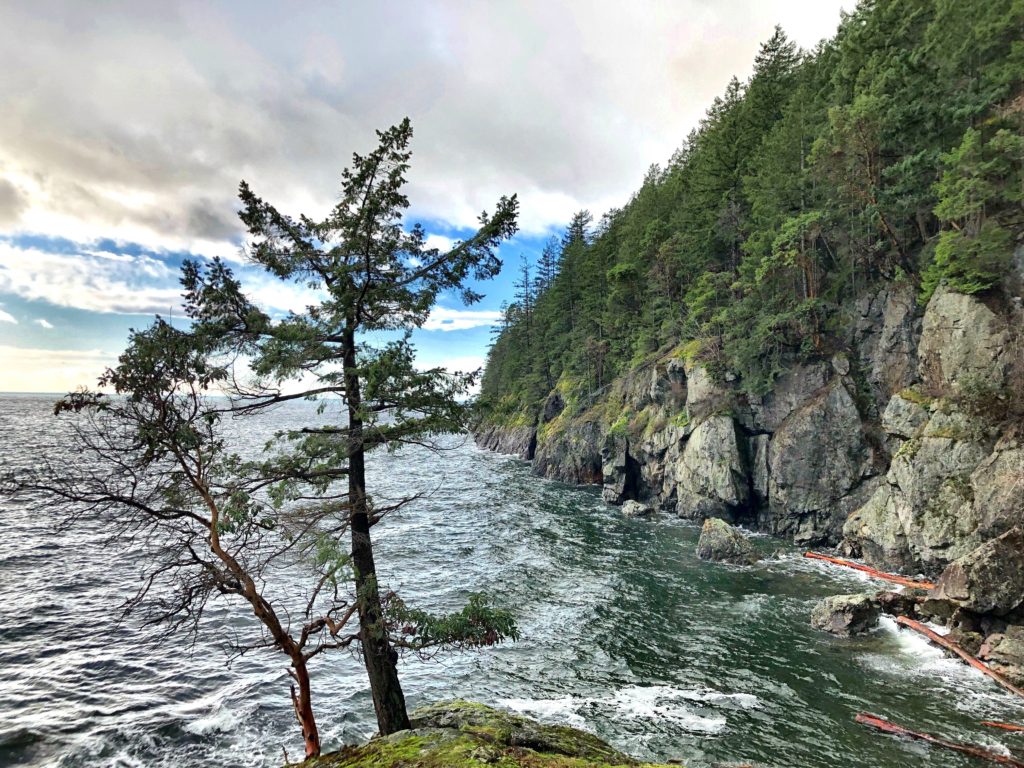 Apodaca Provincial Park on Bowen Island
