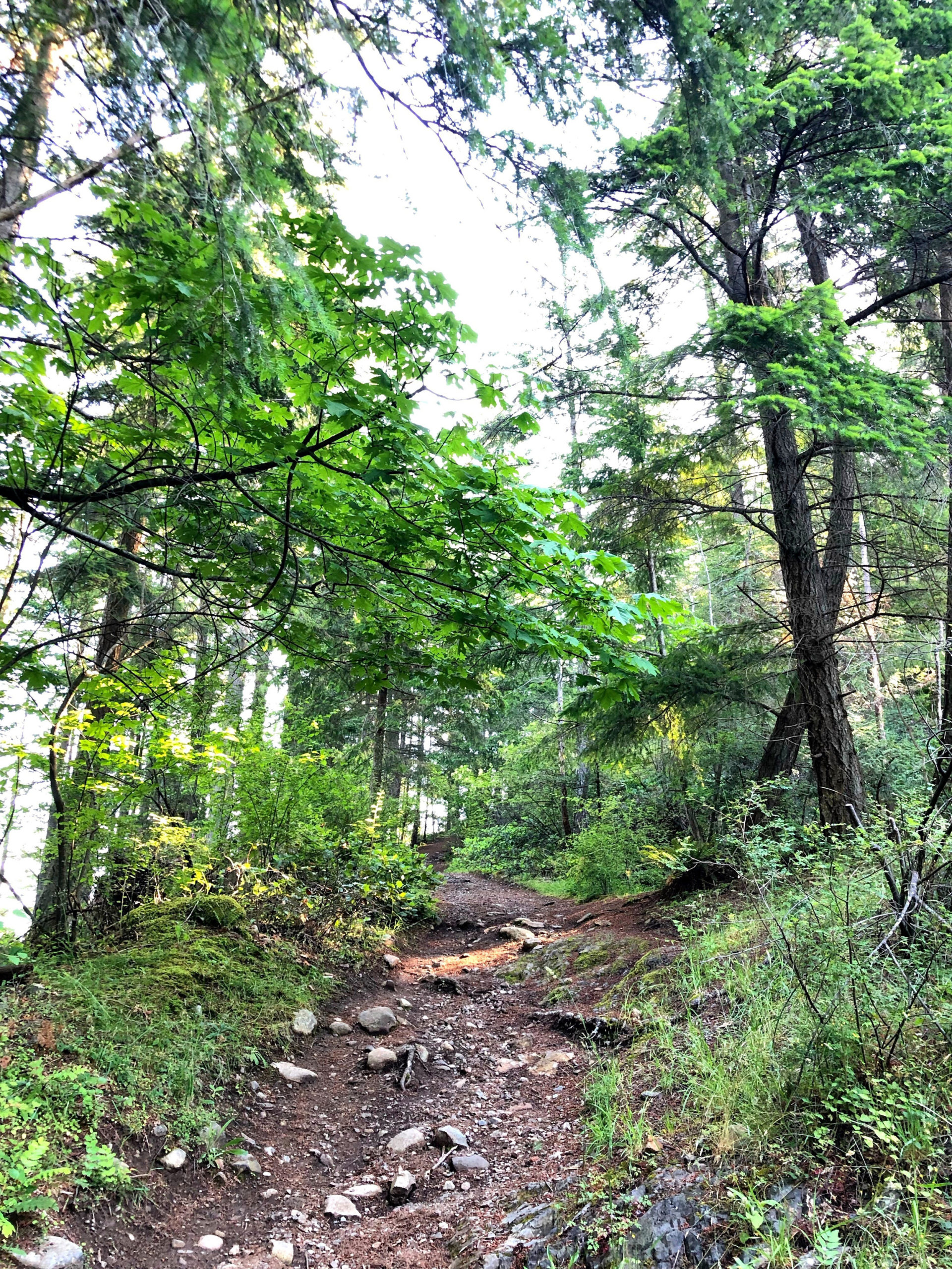 Dorman Point Trail to Viewpoint on Bowen Island