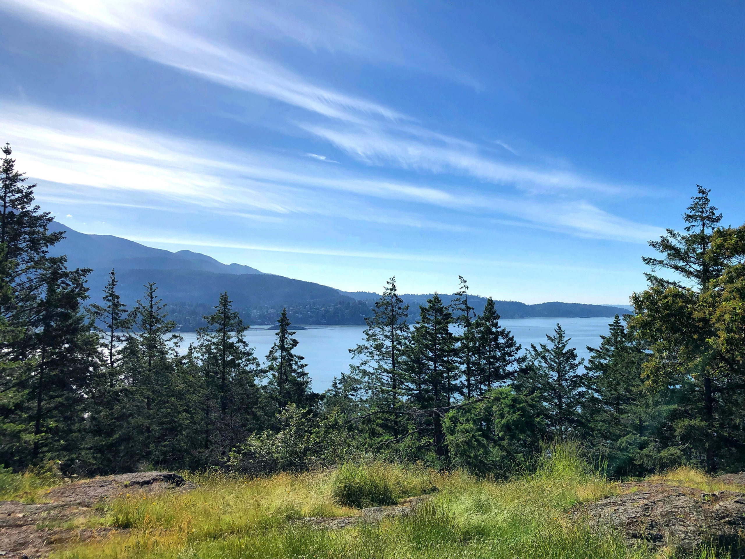 Bowen's Dorman Point Lookout