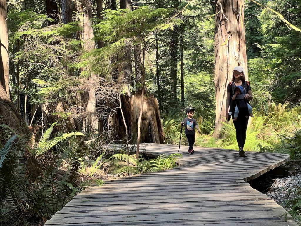 Family hikes around Crippen Park on Bowen Island BC