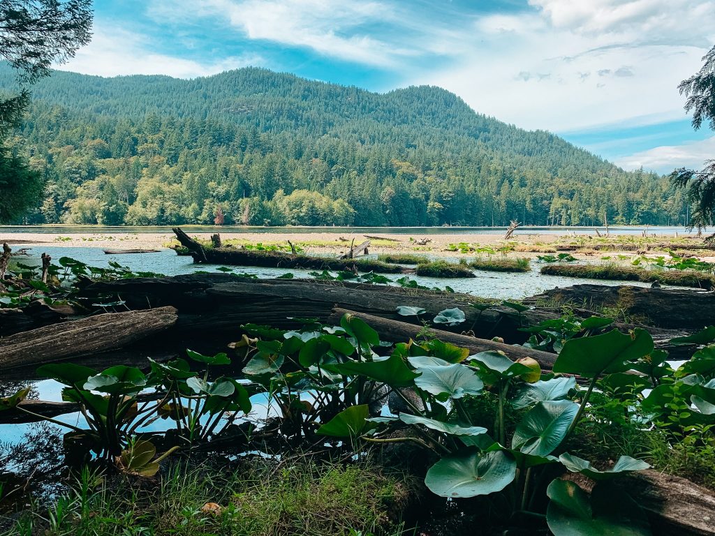 Beautiful Crippen Park on Bowen Island is one of the most popular walking trails for visitors.